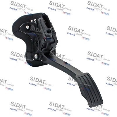 842066 Sidat