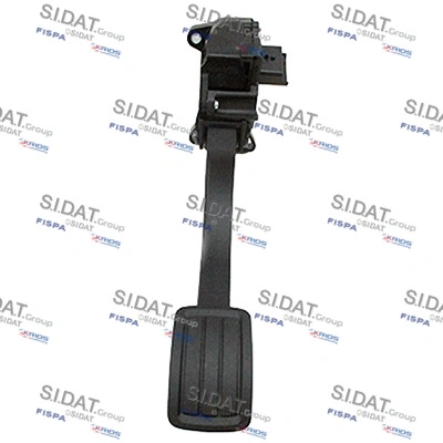 842202 Sidat