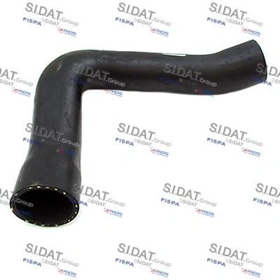 500584 Sidat