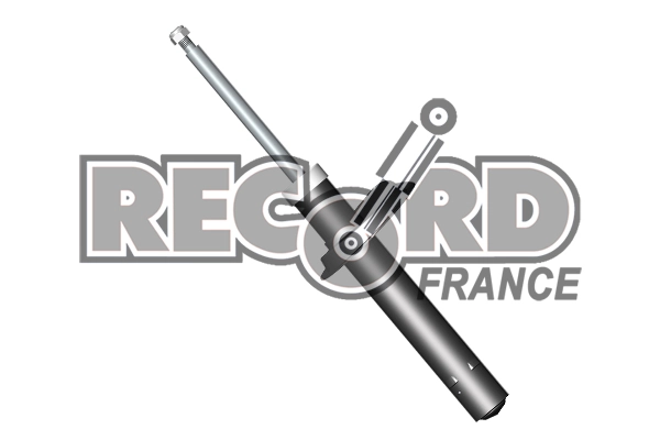 103919 Record