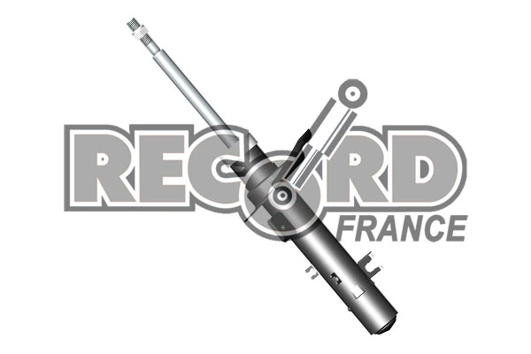 334839 Record