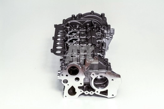  Cabeça de motor (CBC) Nissan X-Trail SUV (T31) (2007 - 2014) 