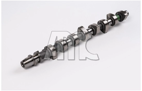 641881 AMC Árvore distribuidora de motor
