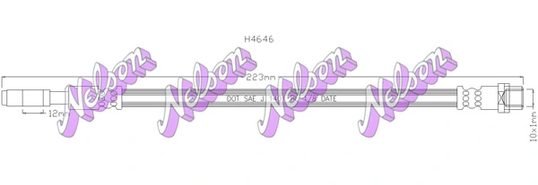 H4646 Kawe