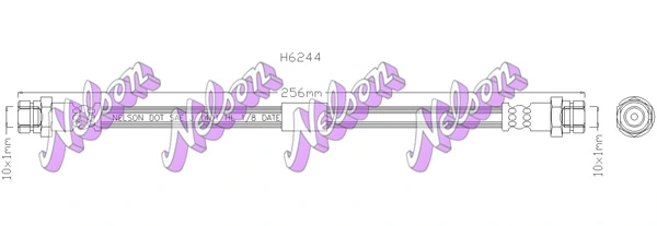 H6244 Kawe