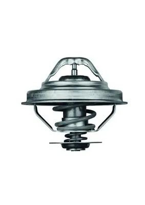 TX2888D Mahle Original Termostato