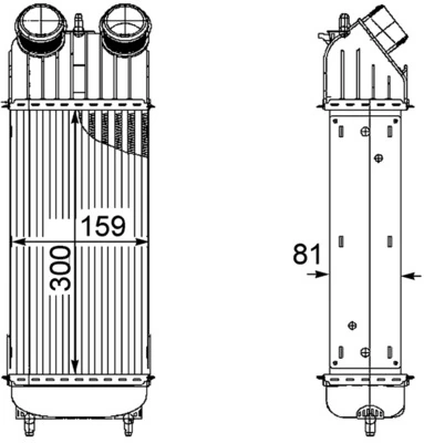 CI172000P Mahle Original