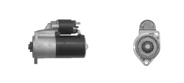 MS116 Mahle Original
