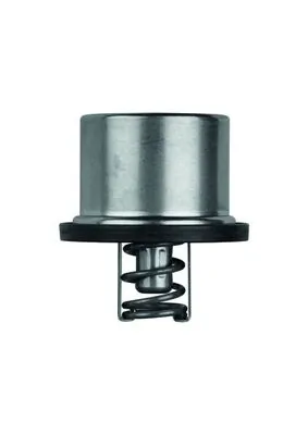 THD179 Mahle Original Termostato