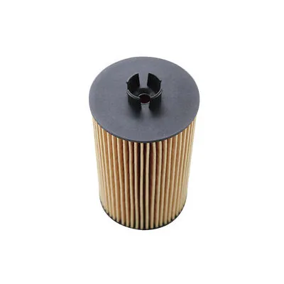 Filtro de óleo OX161D Mahle Original