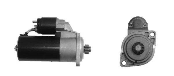 MS252 Mahle Original