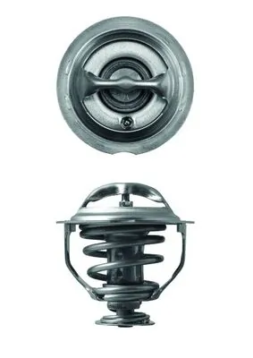 TX11795D Mahle Original Termostato