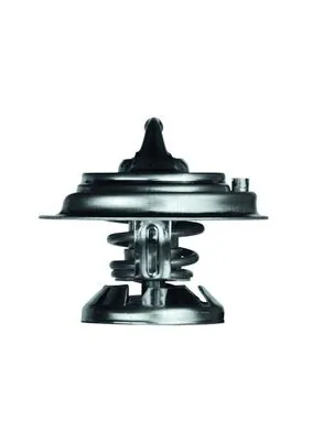TX2985D Mahle Original Termostato