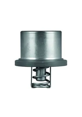 THD289 Mahle Original Termostato