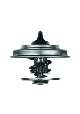 TX1871D Mahle Original Termostato