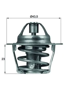 Compre 5495311 Fiat/Alfa/Lancia Termostato