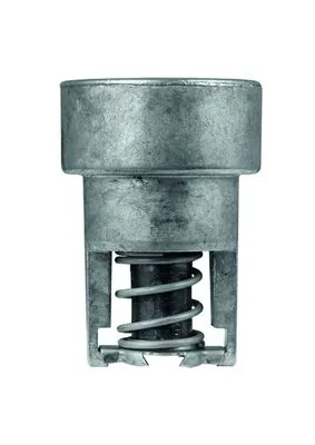 TX9882 Mahle Original Termostato