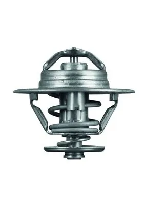 TX9379D Mahle Original Termostato