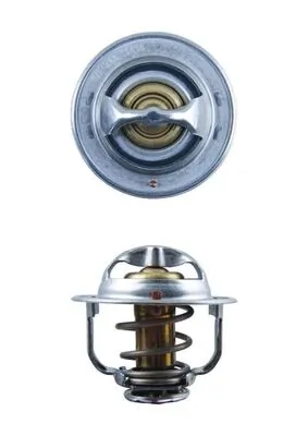 TX17989D Mahle Original