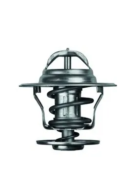 TX1392D Mahle Original Termostato