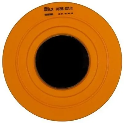 Filtro de ar LX1035 Mahle Original
