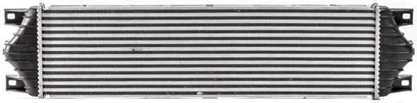 CI20000S Mahle Original