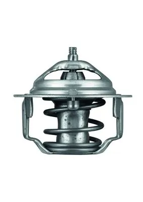 TX6482 Mahle Original Termostato
