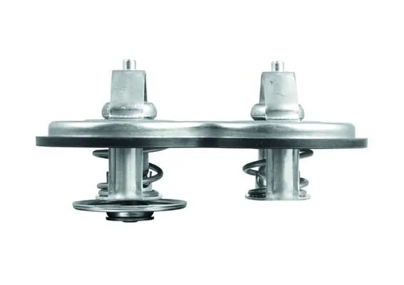 Termostato Mercedes Benz Truck TRUCK ACTROS MP4 / MP5 