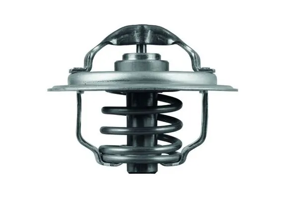 TX11187D Mahle Original Termostato