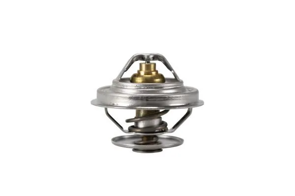 TX25983D Mahle Original