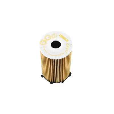 Compre OX417D Mahle Original Filtro de óleo