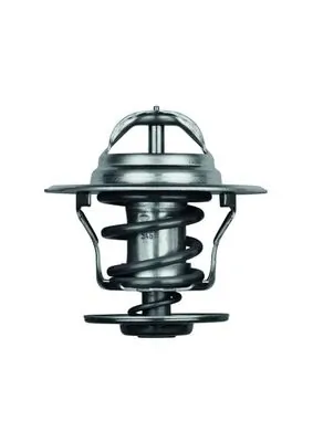 TX1587D Mahle Original Termostato