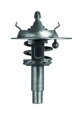 TX10690D Mahle Original Termostato