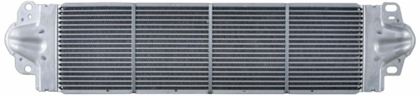 CI80000P Mahle Original
