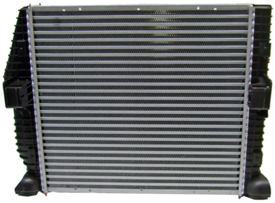 CI114000P Mahle Original