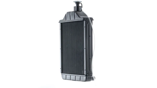 Compre 1669650M94 Massey Ferguson Radiador de esfriamento de motor