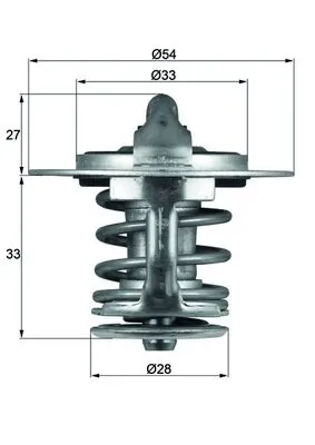 TX8477 Mahle Original
