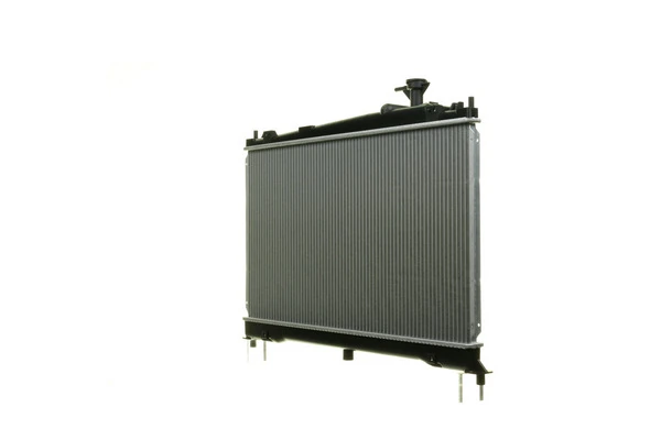 CR1020000S Mahle Original