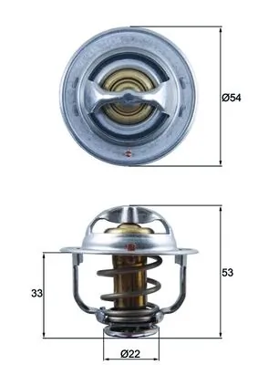 TX17989D Mahle Original Termostato