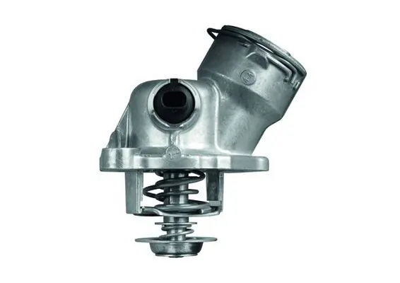 TM29100D Mahle Original Termostato