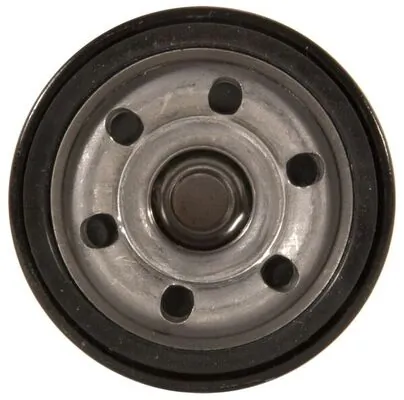 Compre HF6202 Fleetguard Filtro de óleo