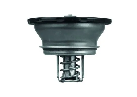 THD382 Mahle Original Termostato