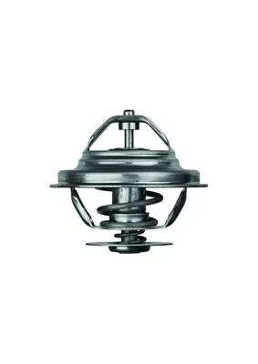TX2080D Mahle Original Termostato