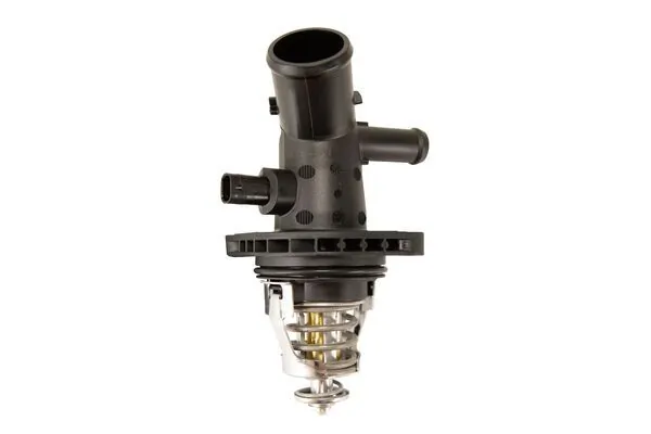 TM58101 Mahle Original