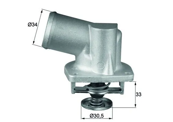 TI13292D Mahle Original