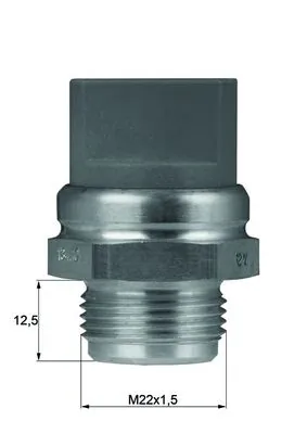 TSW9D Mahle Original