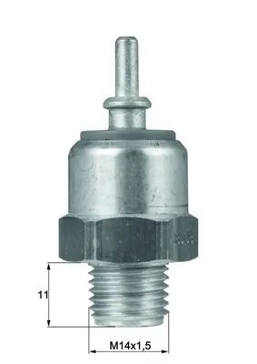 TSW3D Mahle Original
