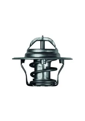 TX487D Mahle Original Termostato