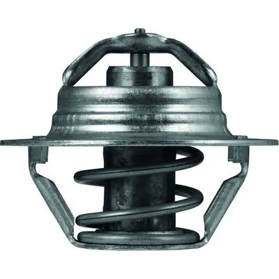 TX10089D Mahle Original Termostato