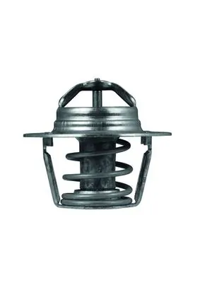 TX9189D Mahle Original Termostato